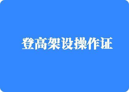 逼屄登高架设操作证